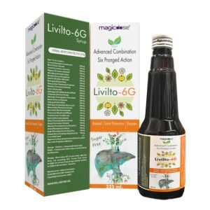 LIVILTO 6G SYP